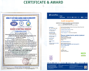 Jackfruit amarillo cultivado en Vietnam, frito al vacío, secado a baja temperatura con sabor dulce, embalaje personalizado listo para enviar a granel - Product Image 5