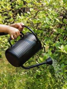 Canne à eau en métal au design unique, la plus populaire, moderne et élégante, très vendue, décorative pour la maison et le jardin, personnalisable - Product Image 5