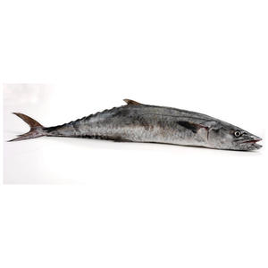 Poisson-roi de qualité export, viande de poisson-roi de qualité supérieure pour les acheteurs en gros - Product Image 2