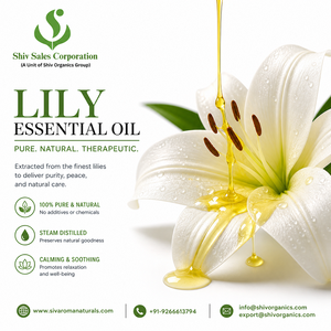 Aceite Esencial de Lirio Puro para la Elaboración de Perfumes, Fabricación de Cosméticos y Suministro a Granel Confiable para Compradores Industriales en Todo el Mundo - Product Image 5