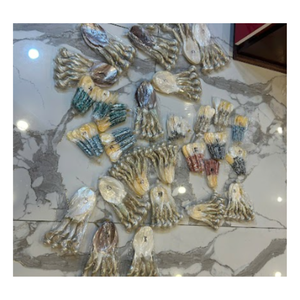 Cuillère artisanale en nacre du Vietnam, fabriquée à partir de coquillages naturels pour la décoration de la table et les souvenirs - Product Image 1
