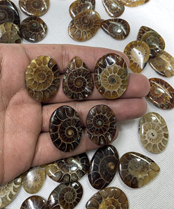 Radha Arts - Gemas Sueltas de Amonita Natural de Alta Calidad, Cabujón de Forma Mixta de 20-35 mm, para Fabricación de Joyería de Plata, Personalizable - Product Image 4