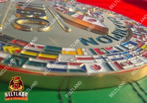 WBC World <b>Boxing</b> Championship Title Belt Adult Size in Zinc 8mm - Product Image 5