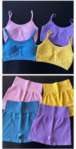 Seamless Gym Set Women 7 Colors Top <b>Bra</b> Leggings Sport Women Fitness Clothing Sportwear Yoga Sets for 2women sale - Product Image 4
