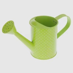 Arrosoir en métal de style contemporain, outil d'arrosage en acier inoxydable - Product Image 1