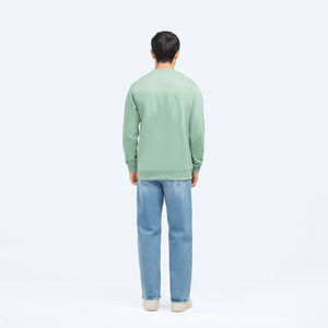 Nueva Sudadera de Cuello Redondo para Hombre, OEM, 300 g/m², Longitud Regular, Forro Polar Grueso de Poliéster/Algodón, Invierno, Logotipo Personalizado, Antipilling - Product Image 2