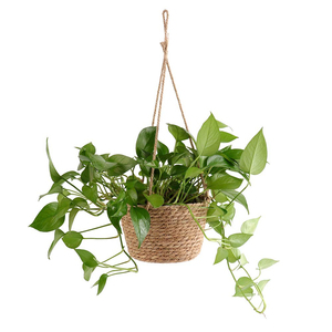 Handmade Jute Rope Hanging Planter <b>Basket</b> Natural Woven Plant Hanger Indoor Outdoor Decor <b>Flower</b> Pot Holder <b>For</b> Garden Use - Product Image 4