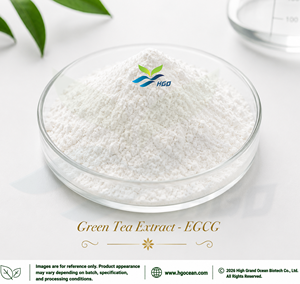 Suministro directo de fábrica HGO de extracto de té verde natural puro (grado alimenticio) Especificación EGCG 98% (extracto estandarizado) - Product Image 1