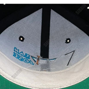 Gorra Snapback Sibrin Personalizada Premium de los San Jose Sharks con Bordado 3D, Ajustable, para Ciclismo al Aire Libre y Equipos de Hockey Profesional - Product Image 6