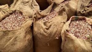 Cáscara de Anacardo de Vietnam – Material Combustible Natural, Fuente de Energía Biomasa Ecológica // Sr. Tom - Product Image 6