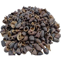 Capsules de graines végétales naturelles de haute qualité pour pot-pourri, arrangements floraux, décoration d'aquarium, etc. – Modèle Lafi Pods