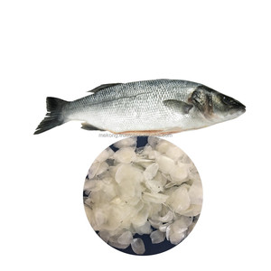 hot sales mekong dried ossein fish scales for collagen making