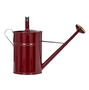 Arrosoir décoratif moderne en métal avec surface émaillée imprimée, léger et durable pour l'intérieur et l'extérieur - Product Image 3