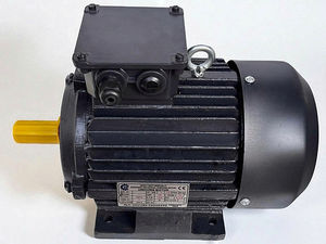 Moteur à induction triphasé 3HP 4 pôles, monté sur pied, 2,2 kW, 1440 tr/min, haute performance, usage industriel intensif, moteur Unicorn haute efficacité - Product Image 2