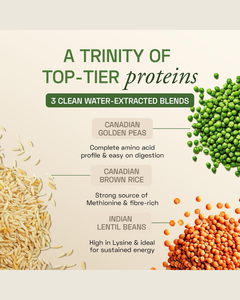 Complexe de protéines végétales non aromatisé, poudre de protéines végétales, mélange de protéines végétales propres, sans produits laitiers, sans gluten - Product Image 5