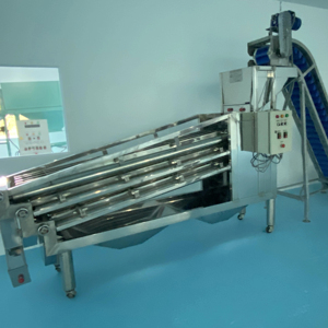 Vietnam <b>Large</b> Capacity Kernel Classify Machine High Quality Manufacture Vietnam - Product Image 1