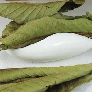 BEST-SELLER Feuilles de Goyave Séchées pour Tisane Minceur, Soutien Contre l'Acné et la Toux, Sac PP de 40 kg, Export Viet Delta Co. LTD, Durée de Conservation 24 Mois - Product Image 1