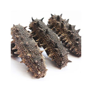 Fournisseurs de concombres de mer séchés Ming Bald riches en protéines et faibles en calories - Product Image 4