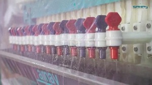 โรงงานสกัดน้ำมันดอกทานตะวันอัตโนมัติเต็มรูปแบบ กำลังการผลิต 4 ถึง 8 ตันต่อวัน ระบบสกัดเมล็ดอุตสาหกรรมประสิทธิภาพสูง 10 แรงม้า - Product Image 2