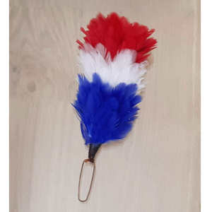 Plumes d'autruche teintées WIN MASTER INDUSTRIES, plumes de paon, plumes de coquille, vente en gros, service OEM, conception pour uniformes de cérémonie - Meilleures ventes - Product Image 1