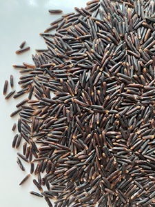 ARROZ NEGRO SALUDABLE DE ALTA CALIDAD, Grano Largo, Arroz Riz Negro Glutinoso Orgánico, Empaque ODM OEM, Vietnam LINDA +84393250278 - Product Image 6