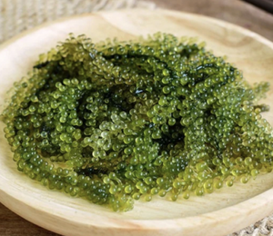 Vietnam Organic Style Sea Grapes Seaweed Caulerpa Lentillifera for Salad Sushi Fresh Food Ingredient Kitchen Use - Product Image 1