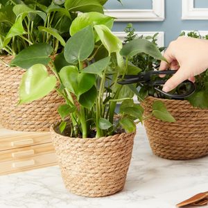 Durable Indoor <b>Sewing</b> Storage <b>Basket</b> with Water Hyacinth Seagrass Flower Pot Vintage Style Garden Use Plastic Stand - Product Image 3