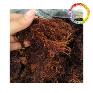 Musgo Marino Seco a Granel para Exportación, Superalimento Vegano Saludable, Fabricante Vietnamita con Etiqueta Privada OEM - Product Image 4