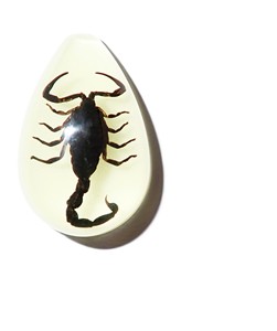 Black Scorpion Real Specimen Plastic Cabochon Pear Shape Cut <b>Top</b> 33x22 mm Glow Flat Bottom for Crafts and Jewelry Making - Product Image 2