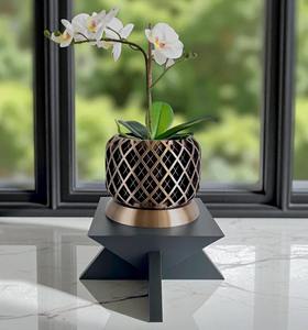 Macetero de alta gama para interiores, perfecto para decoración de mesas, esquinas, oficinas y balcones, hecho a mano en India. - Product Image 1