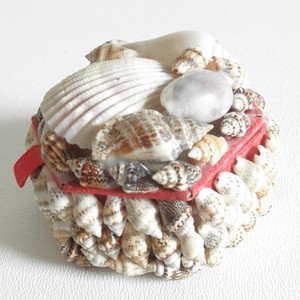 Seashell jewelry box high quality <b>ring</b> bracelet <b>storage</b> boxes crafted from natural seashells - Product Image 5
