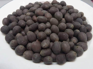 Graines de lotus naturelles de haute qualité en gros pour les services de restauration et les marchés d'exportation Durée de conservation de 24 mois NMF (PVT) LTD - Product Image 2