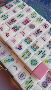 Tuiles de Mahjong Personnalisées en Résine Traditionnelle, Ensemble Artisanal Artistique de Collection, Pièces à Motifs Verts et Blancs NOUSHAD - Product Image 5