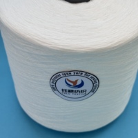 Fil 100% polyester filé Ne 20/2, fil de fibre de polyester à haute ténacité brillant pour vêtements, point de croix, couture industrielle