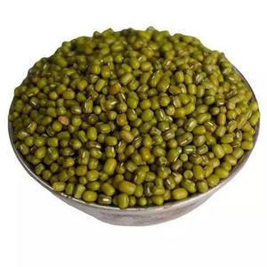 Frijoles Mung Verdes Secos de Alta Calidad, Venta al Por Mayor a Granel - Product Image 4