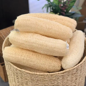Éponge de Luffa Entière Séchée Naturelle pour le Bain et le Gommage Corporel - Fournisseur Vietnamien - Product Image 1