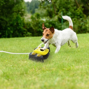 Distributore automatico multifunzionale di colore blu-giallo per animali domestici 1 pz fontanella d'acqua per cani - Product Image 4