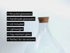Pot <span class=keywords><strong>en</strong></span> verre pour terrarium de 20 cm avec couvercle <span class=keywords><strong>en</strong></span> liège, récipient hermétique pour terrarium, vase DIY pour terrarium et cadeau naturel d'intérieur - Product Image 2