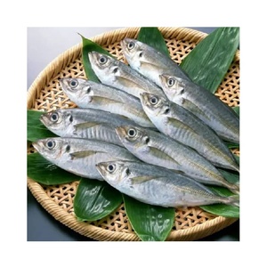 CREKS - Pescado Atún Congelado IQF, Cuerpo Entero, Envasado al Vacío en Agua, Sostenible, 10 kg, 30 cm - Product Image 3