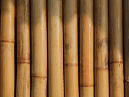 Vara de Bambú Agrícola Personalizada con Rama para Exteriores - Product Image 3