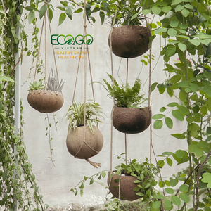 Pot de plante en coquille de noix de coco naturelle |   Jardinière artisanale écologique |   Décoration de jardin durable pour l'intérieur et l'extérieur |   Eco2go Vietnam - Product Image 6