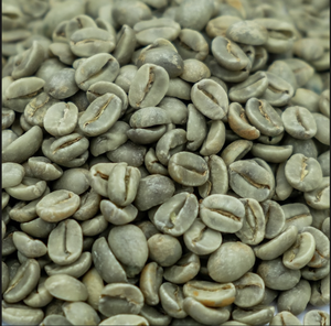 กาแฟโรบัสต้า DHPONE S16 เมล็ดกาแฟดิบ เกรด AA 100% โรบัสต้า 60 กก. บรรจุถุง PP/ปอกระเจา จีอาไล เวียดนาม ปราศจากสารก่อภูมิแพ้ อายุการเก็บรักษา 12 เดือน - Product Image 2