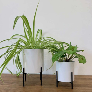 Maceta Decorativa para Orquídeas Hecha a Mano, Maceta de Jardín para Interiores, Exportador Indio, Alta Calidad - Product Image 4