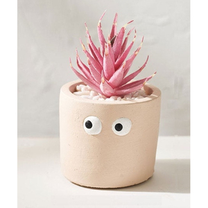 Pot de fleurs PNP32 avec yeux, jardinière unique pour la décoration du jardin et de la maison - Product Image 1
