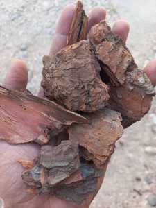 Paillis de bois de pin broyé pour l'aménagement paysager et le conditionnement du sol, paillis de bois organique 100% naturel pour les espaces extérieurs - Product Image 2