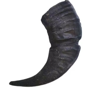เขาวัวธรรมชาติแกะสลักลายสัตว์ เป็นมิตรกับสิ่งแวดล้อม ปรับแต่งขนาดได้ สำหรับตกแต่งบ้าน งานฝีมือประดับตกแต่ง เขาวัว - Product Image 5