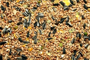 OEM ODM Premium Comida para pájaros Mezcla de semillas Aprobado Veterinaria Nutrición equilibrada Mascotas exóticas Aves seguras Alimentación diaria Exportación de etiqueta privada - Product Image 2