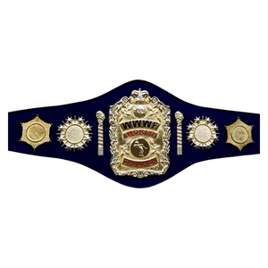 Ceinture de champion du monde de la WWE, ceinture de championnat de lutte personnalisable, édition de collection de haute qualité - Product Image 1