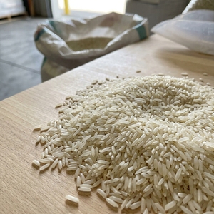 Riz blanc à grains longs de qualité supérieure pour l'exportation, destiné aux acheteurs en gros, avec qualité de mouture et emballage sélectionnés - Product Image 3