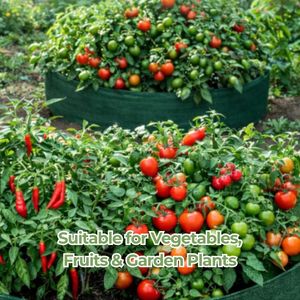 Sac de culture surélevé de haute qualité 50x25cm en PE 200gsm, sac de plantation durable pour légumes, fruits, jardinage et agriculture - Product Image 5